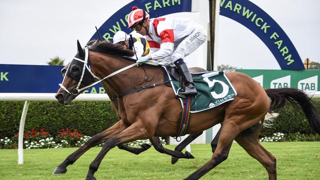 Oz Legend had no luck last start and can give this race a shake. Picture: Bradley Photos
