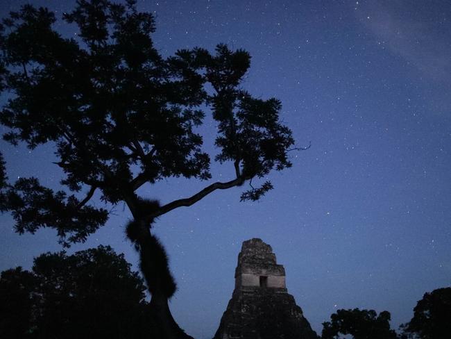 Tikal National Park, Guatemala - Starry sky at night in Tikal National Park (Wild Blue Media/National Geographic)