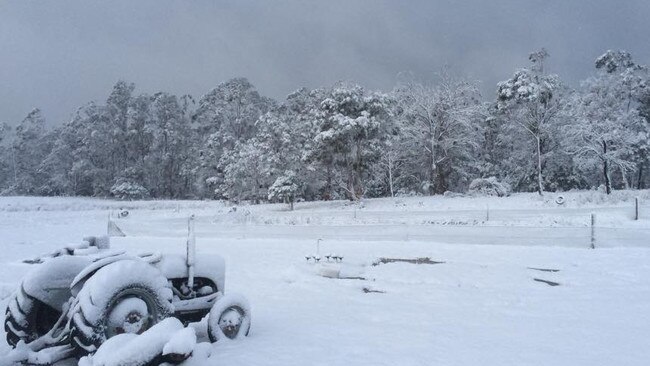 Gully road Lachlan pic Jake Breen.