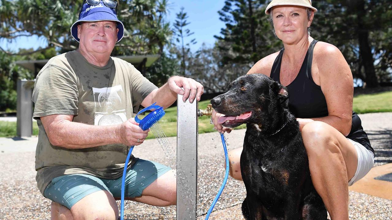 Dog Dies After Suspected Dicky Beach Water Bowl Poisoning 