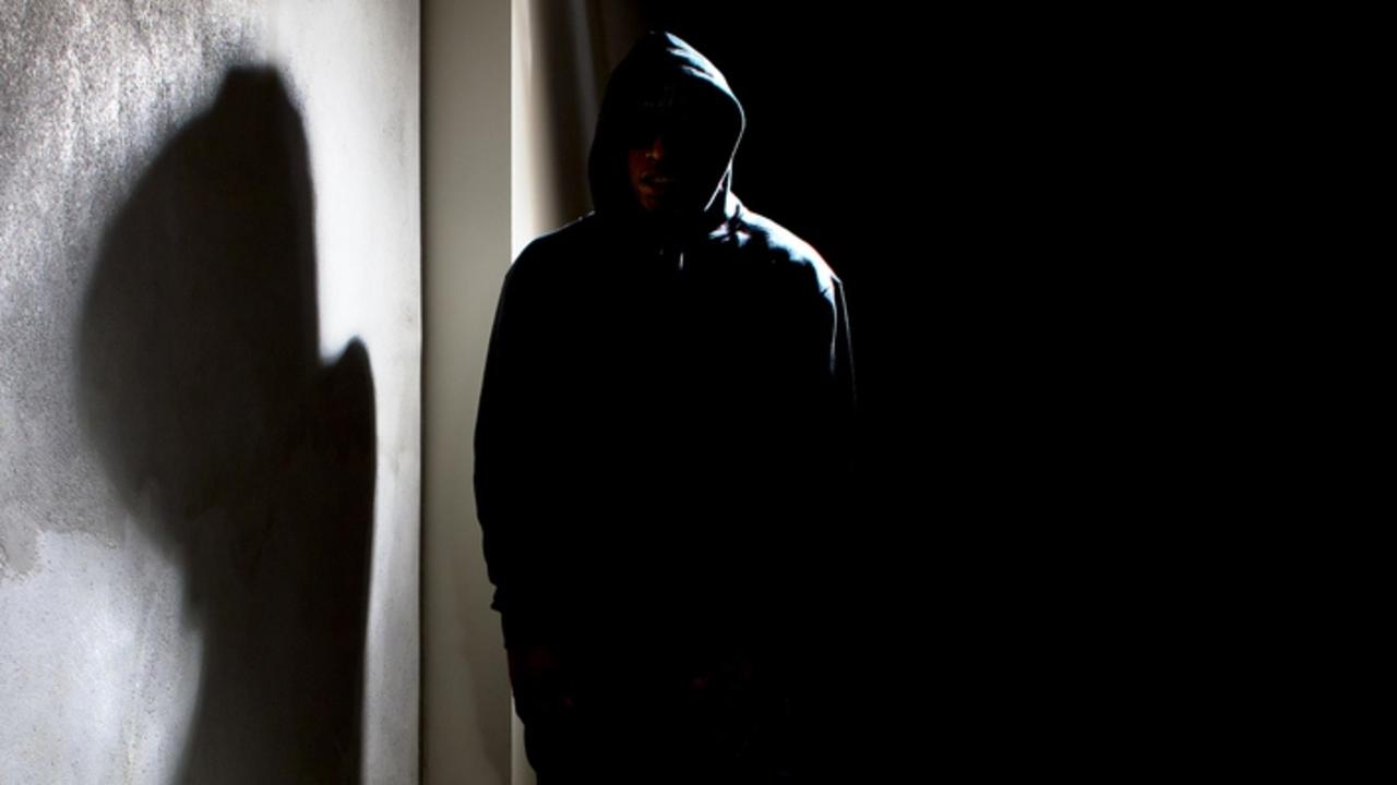 The fictional world of stalker Brenton Harlock spilt into real life when he began surveilling his victim.
