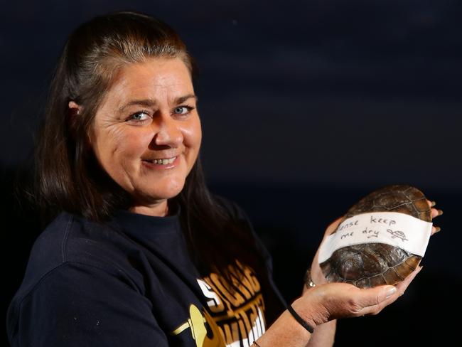 Sonja Elwood is caring for a turtle with a broken shell. The message on the shell reads ‘please keep me dry.’