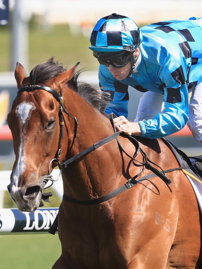 Doubt Defying looks like a good shot at $11 for the Villiers Stakes.