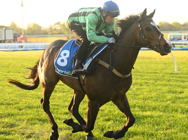 MELBOURNE, AUSTRALIA - OCTOBER 15: Craig Newitt riding Francesco Guardi during Caulfield Cup Gallops at Caulfield Racecourse on October 15, 2024 in Melbourne, Australia. (Photo by Vince Caligiuri/Getty Images)