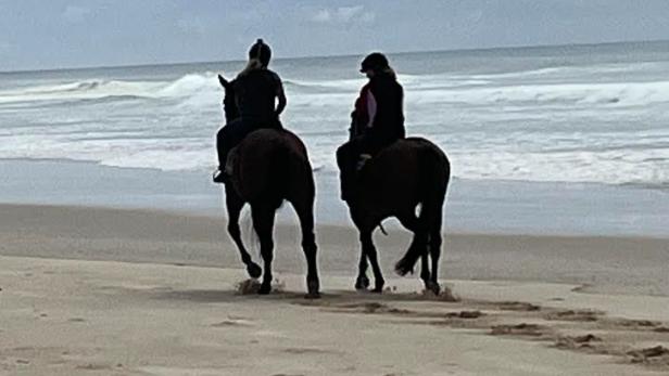 Stephen Lee has a couple of good chances at Ballina on Sunday. Picture: Supplied