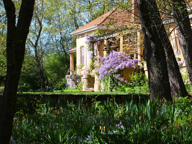 EMBARGO FOR TWAM 07 SEPTEMBER 2024. FEE MAY APPLY. Wisteria at the Hazeldean gardens in the Monaro region in the foothills of the Snowy Mountains near Cooma. Supplied