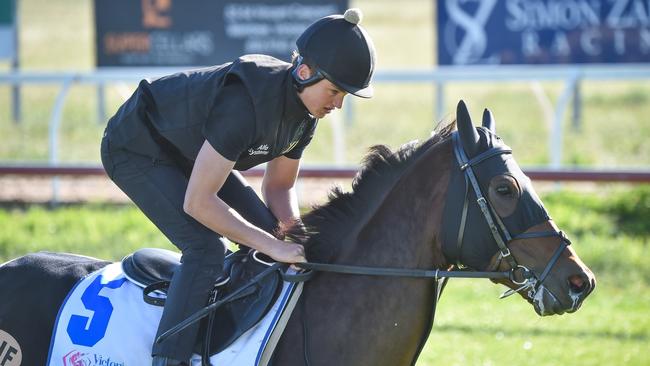 Deauville Legend ridden by Angus Villiers during trackwork at Werribee Racecourse on October 30, 2022 in Werribee, Australia. (Reg Ryan/Racing Photos via Getty Images)