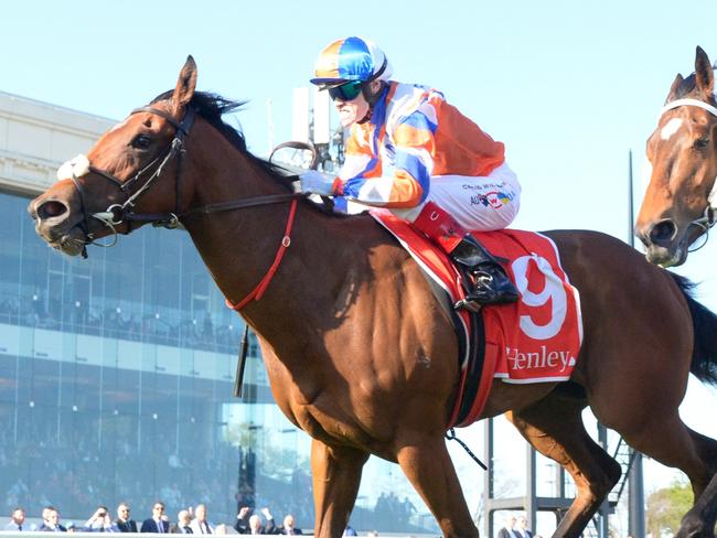 Bellatrix Star ridden by Craig Williams wins the Henley Homes Schillaci Stakes at Caulfield Racecourse on October 12, 2024 in Caulfield, Australia. (Photo by Brett Holburt/Racing Photos via Getty Images)