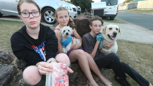 Danika, Tayla and Jordan Brown with their dogs Marley and Oscar and a bag of sausages laced with rat sick. Picture Mike Batterham.