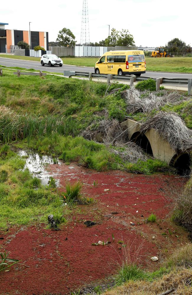 The creek has “significant environmental values”. Picture: Alison Wynd