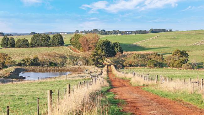 Two dairy farms totalling more than 320 hectares near Simpson in the Western District have been sold to major blue gum plantation developers.