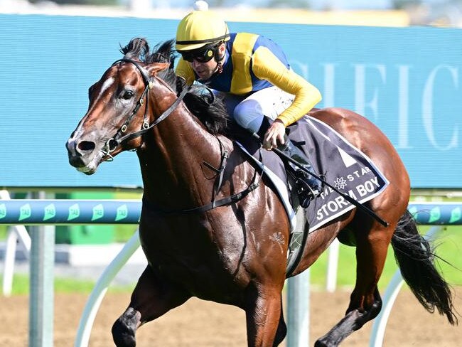 The Gai Waterhouse-trained Storm Boy has won the $3 million two-year-old Magic Millions Classic on the Gold Coast. Picture: Grant Peters/Trackside Photography