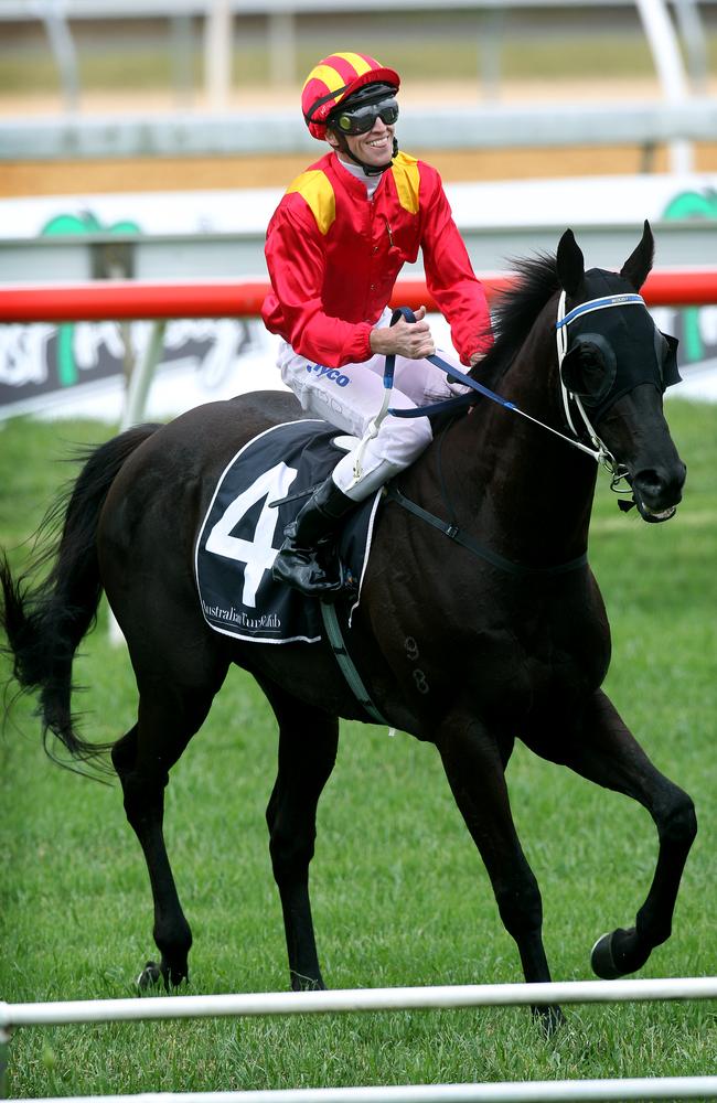 Soros after winning at Warwick Farm with jockey Joshua Parr in the saddle.