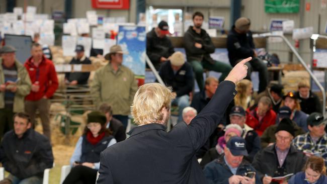 The Sheepvention ram sale used to attract close to 300 entries.
