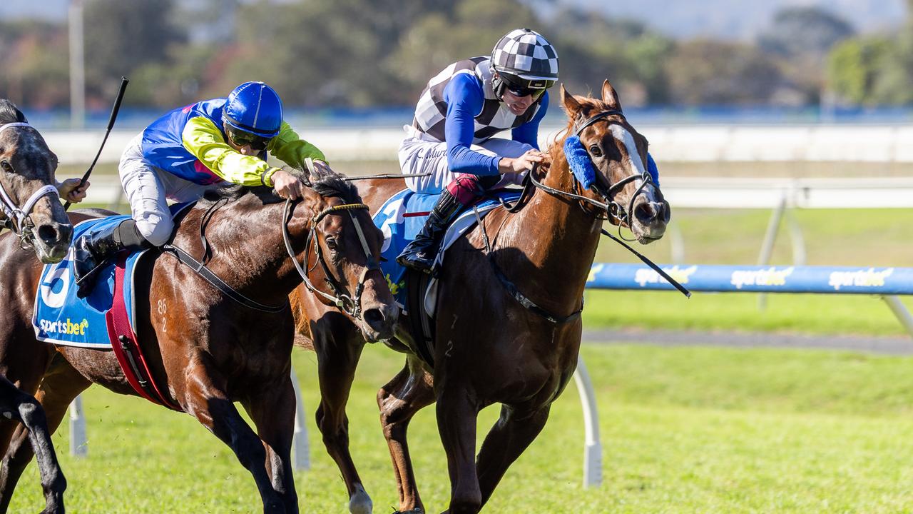 Golden Horizon and Connor Murtagh combine to win at Morphettville on Saturday. Picture: Makoto Kaneko