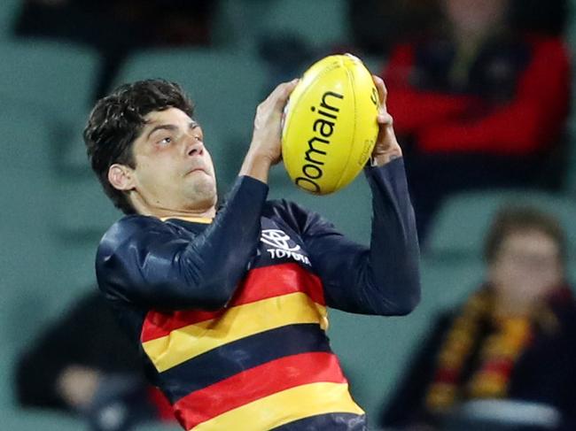 AFL - Tuesday, 11th August, 2020 - Adelaide Crows v Collingwood  at the Adelaide Oval.  Adelaide's Shane McAdam takes a screamer Picture: Sarah Reed