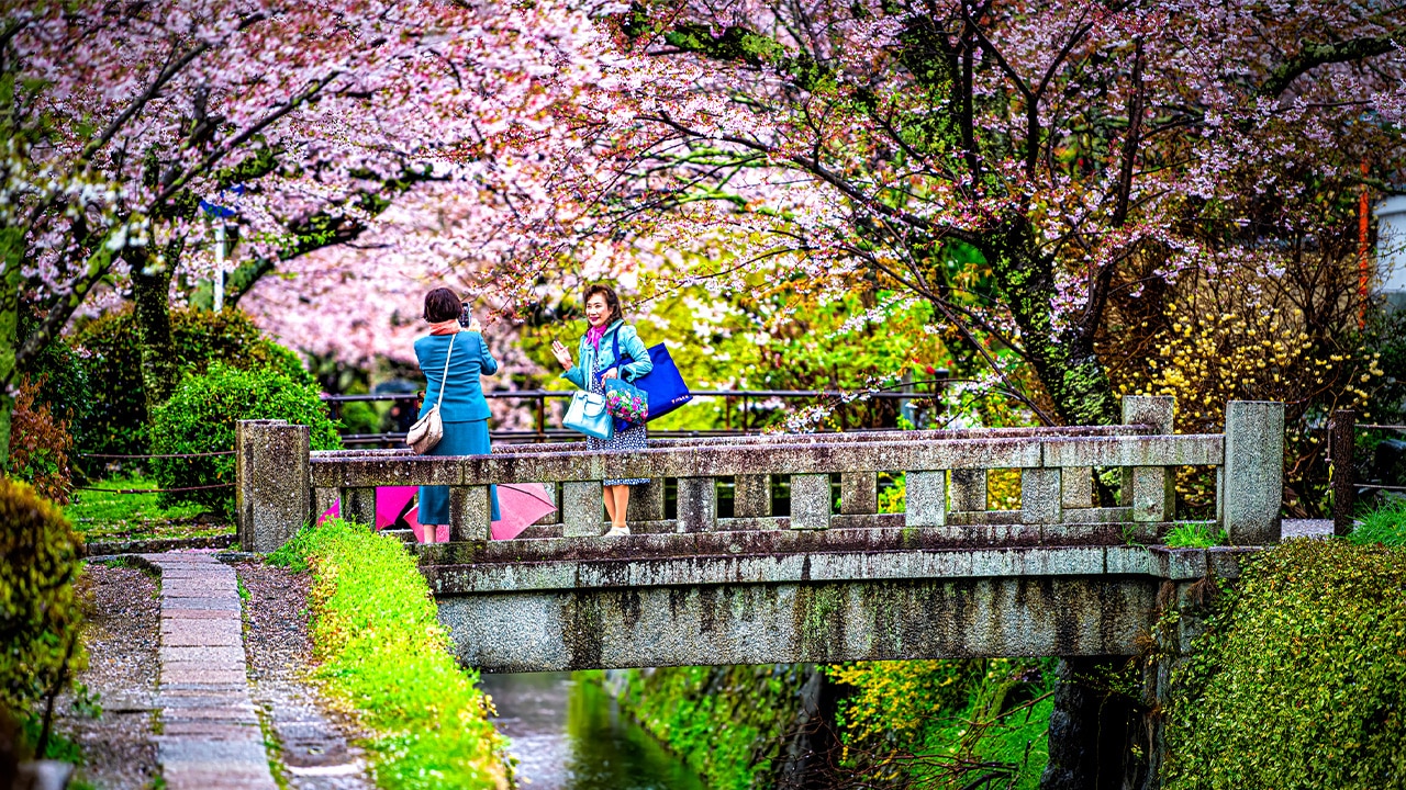 <h2>May: Gardens, Kyoto</h2><p>After early May&rsquo;s frenetic Golden Week holiday, crowded Kyoto experiences a short reprieve. At this time it&rsquo;s possible to meander the fascinating city&rsquo;s many idyllic gardens in peace, as it should be. There&rsquo;s no better way to soak up Kyoto&rsquo;s warm, sublimely long, late spring days than to experience the tag-team flowering of elegant irises and hydrangeas, and even water lilies as May slides into summer.</p><p><strong>TIP:</strong> Book a guided exploration of Kyoto&rsquo;s best gardens with <a href="https://kyotogardenexperience.com/" target="_blank" rel="noopener">Kyoto Garden Experience</a>.&nbsp;</p><h2>SUMMER</h2><p>Rain announces the start of summer in June, the perfect month for making the most of Japan&rsquo;s abundance of brilliant (and air-conditioned) indoor arts and cultural facilities. By July, cities are hot and sticky, with humidity peaking in August, prompting a shift towards beaches, lakes and forest-deep rivers to cool off. Others choose to camp or hike in more temperate northern and alpine zones. Socialising ramps up the evenings, aided by the seasonal influx of concerts, festivals, fireworks and beer garden pop-ups.</p>