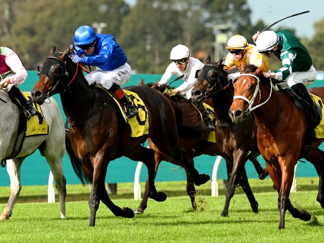 SYDNEY, AUSTRALIA - MAY 31: Kerrin Mcevoy riding Zebra Finch win Race 1 Schweppes Handicap during Sydney Racing at Rosehill Gardens on May 31, 2025 in Sydney, Australia. (Photo by Jeremy Ng/Getty Images)