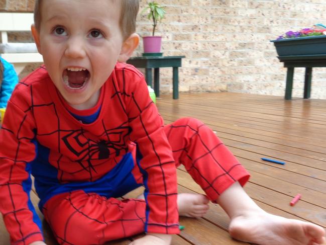 Photo showing missing child William TyrrellPhoto courtesy of NSW Police