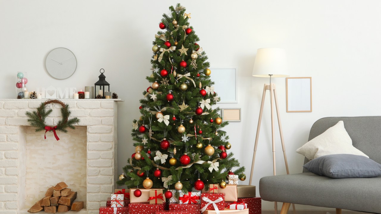 These are the best Christmas trees to buy. Picture: iStock.