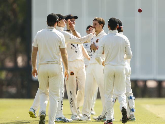 The Saints celebrate the wicket of Campbell Vadlja.