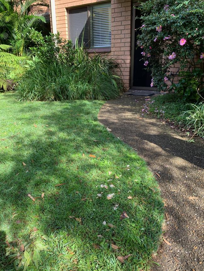 Bread thrown near the common footpath in the Rosella Gardens complex near Narrabeen Lagoon. Picture: Supplied.