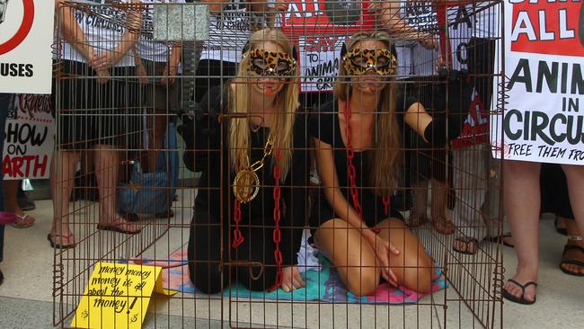 <s1>Animal welfare activists on the Gold Coast protest the </s1>                        <s1>use of animals in circuses.</s1>