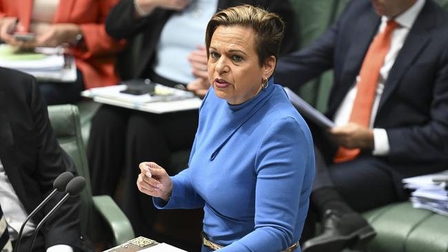 Communications Minister Michelle Rowland. Picture: NewsWire / Martin Ollman