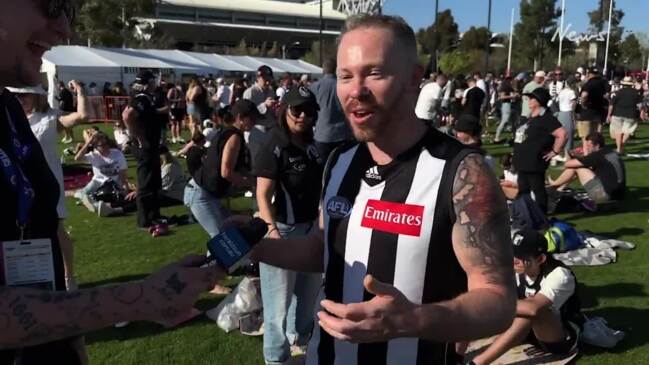 Grand final fever grips Collingwood fans