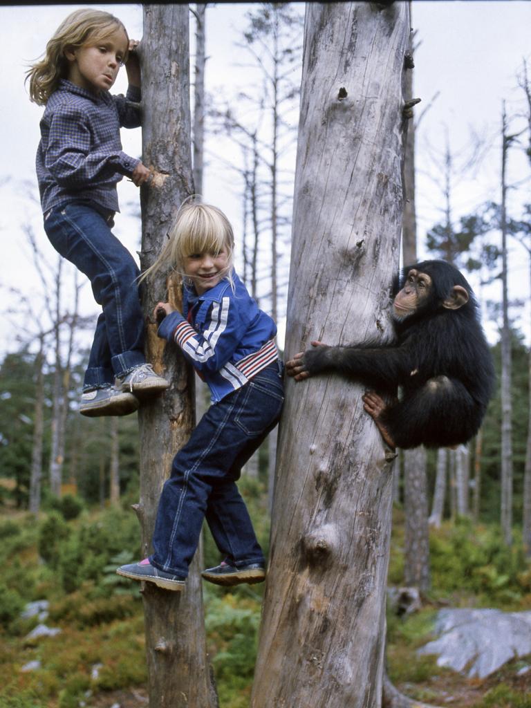 Ane and Siv playing on Chimp Island with Julius. Photo: Arild Jackobsen.