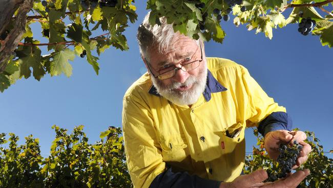 David Bruer with his Cabernet Sauvignon grape vines. Pic: Tricia Watkinson.