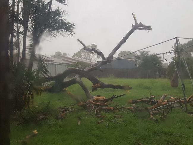 Tracy Levett posted this image of her backyard in Bowen, Queensland. Permission given. Picture: Tracy Levett/Facebook