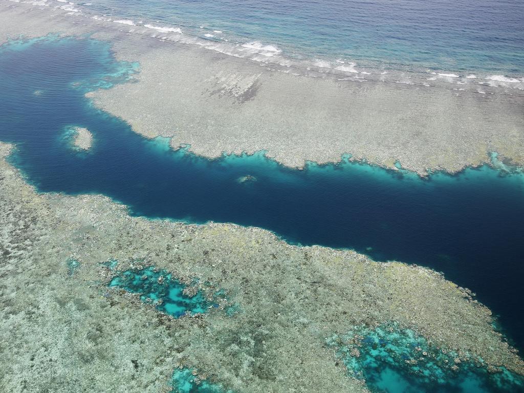 The Reef has suffered heat stress as a result of climate change and recent cyclones. Picture: Brendan Radke