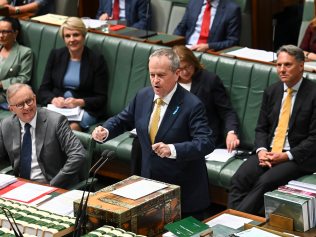 CANBERRA, AUSTRALIA, NewsWire Photos. NOVEMBER 14, 2023: NDIS and Government Services minister Bill Shorten during for Question Time at Parliament House in Canberra. Picture: NCA NewsWire / Martin Ollman