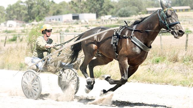 Harness trainer Emma Stewart works Yankee Rockstar at Smythes Creek. Picture : Mike Keating.