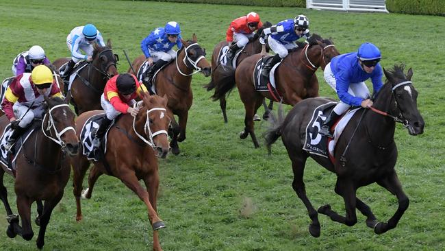 Avilius could be on a Melbourne Cup path. Picture: AAP