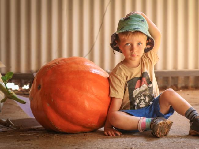 Edmund Aikman, 3, with a prize winning Pumpkin enjoying day two of the Royal Darwin Show. Picture: Glenn Campbell