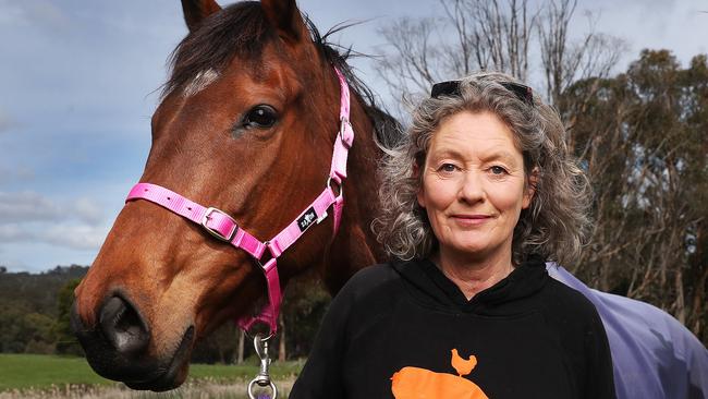 Emma Haswell with Ziggy at front and Dolly who are both former race horses rescued and now living at Brightside Farm Sanctuary in the Huon Valley.  Picture: Nikki Davis-Jones