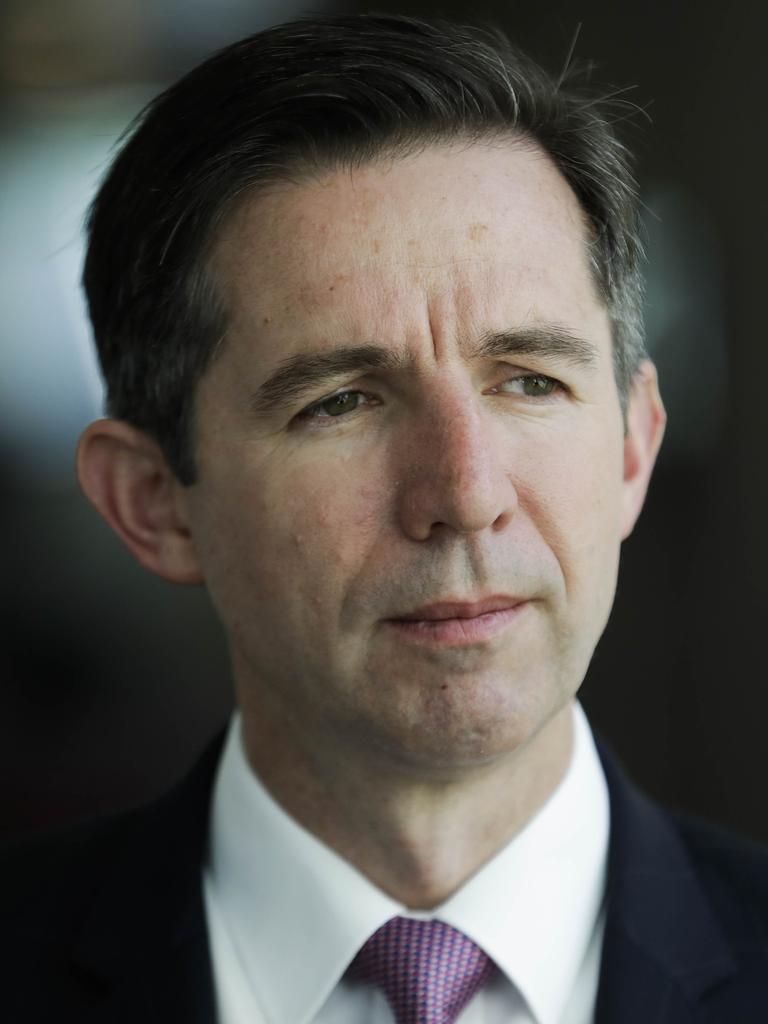 Trade Minister Simon Birmingham has vowed to “keep standing up for Australian industry”. Picture: Sean Davey
