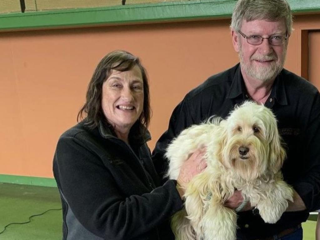 Elizabeth and Paul Bartlett, owners of Epping Forest dog breeders Tasmanian Labradoodles Pty Ltd. Picture: Instagram