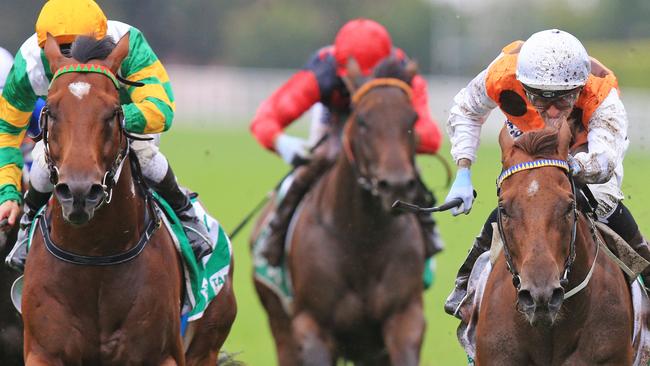 Glenall (left with green and yellow silks) finished second behind Samantha (right) at Royal Randwick on March 4. Photo: Jenny Evans.