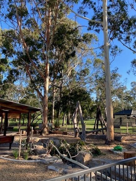 The branch that fell from a tree and hit Anna Frances-Wood and her four-year-old daughter in Mount Barker's Keith Stephenson Park on Sunday.