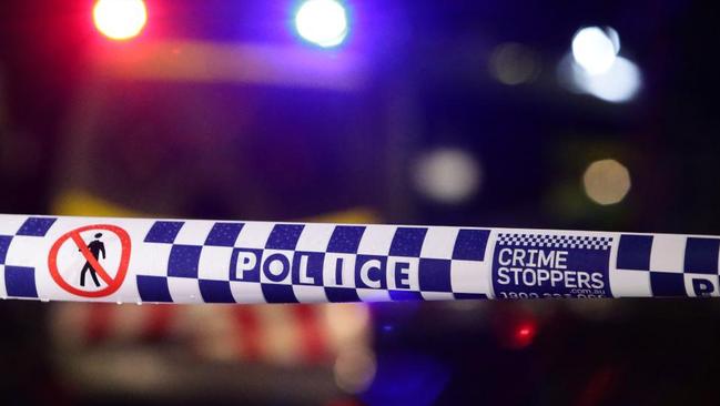 A woman returned to her home in Mt Annan to find thieves inside in the middle of a break in.