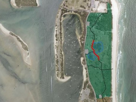 The Spit and littoral rainforest restoration - the red area shows a proposed boardwalk, and two grey sections show planned car parks.