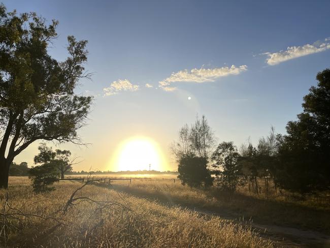 Braeside Park at 6am on Christmas Eve. Picture: Lihua Liu, Noble Park.