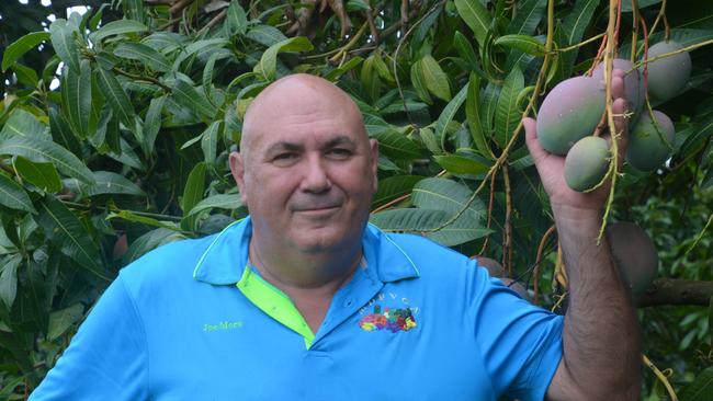 Mareeba mango grower Joe Moro. Picture: Bronwyn Farr.