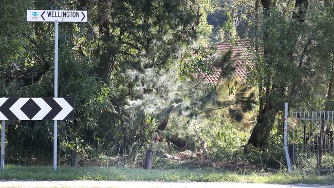 Damaged fence and broken trees at the car crash site of Redlands Mayor Karen Williams. Picture: Liam Kidston.