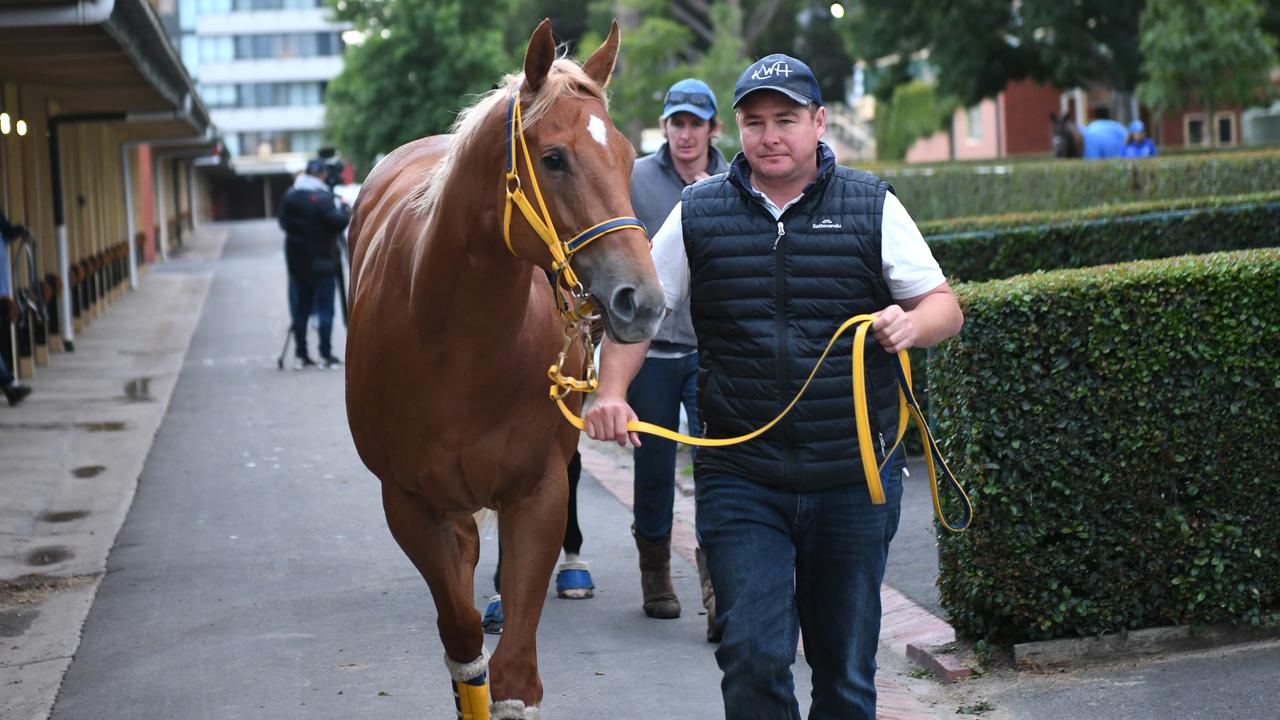 Melbourne Trackwork Session