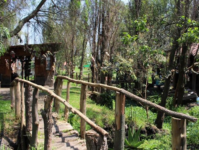 <!DOCTYPE html PUBLIC "-//W3C//DTD HTML 4.0 Transitional//EN" "http://www.w3.org/TR/REC-html40/loose.dtd"><html><body><p>Dolls hanging from trees on Isla De Las Munecas, Xochimico, Mexico. Picture: Wikimedia Commons/Emmanuel Eslava</p></body></html>