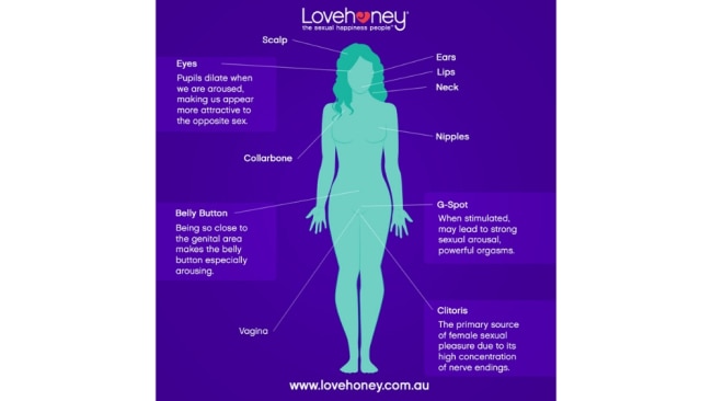 Erogenous Zones Chart